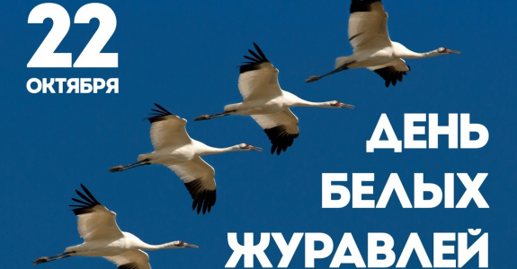 Летят в бессмертье журавли
